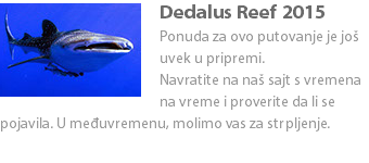 Dedalus Reef ﷯2015
Ponuda za ovo putovanje je još uvek u pripremi. Navratite na naš sajt s vremena na vreme i proverite da li se pojavila. U međuvremenu, molimo vas za strpljenje.